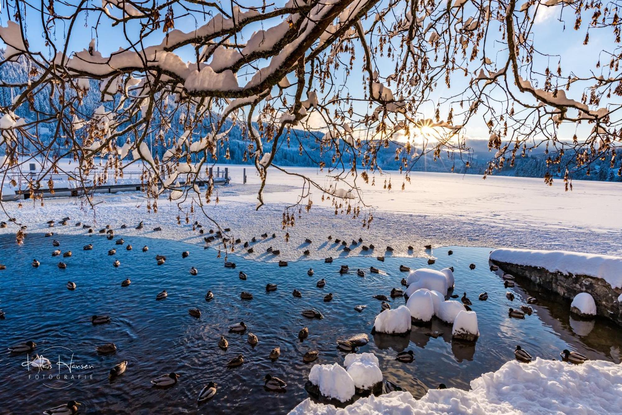 Kurhotel Schluchsee App 1511 - Schwarzwaldhirsch - Mit Innenpool Und Sauna, ชลูคซี ภายนอก รูปภาพ